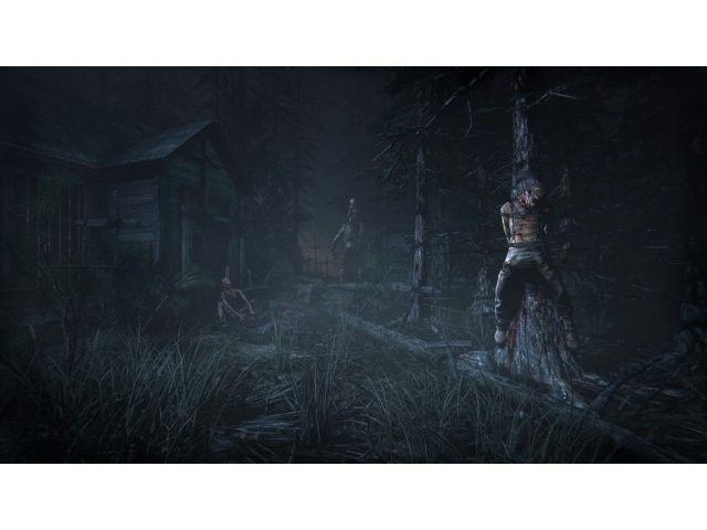 Игра Outlast 2 для PC, Steam, электронный ключ