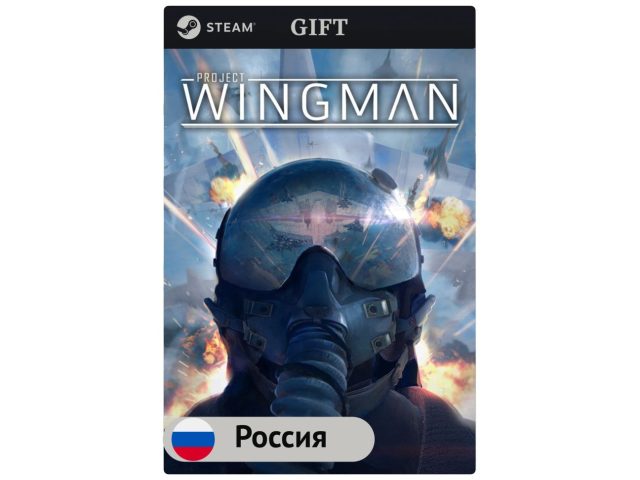 Игра Project Wingman для PC (ПК) Steam, Steam Deck, GIFT, Россия