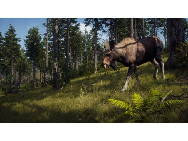Игра Way of the Hunter - Elite Edition для PC, Steam, электронный ключ