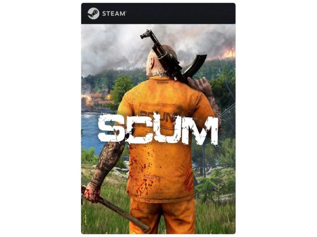 Игра SCUM для PC, Steam, электронный ключ